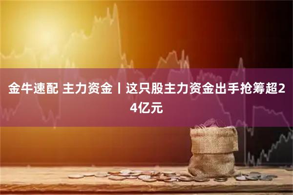 金牛速配 主力资金丨这只股主力资金出手抢筹超24亿元